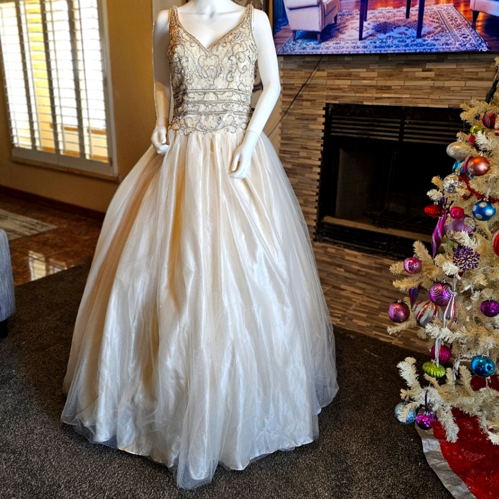 LAYLA DRESS 8 wedding Rhinestones Embellished LK 143 ivy nude Glittery Tulle